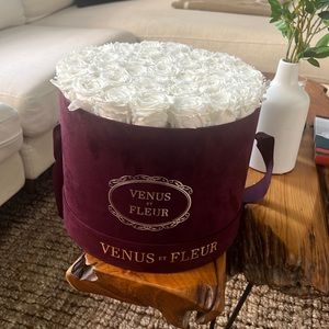 Venus et Fleur white roses
